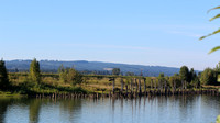 Sauvie Island